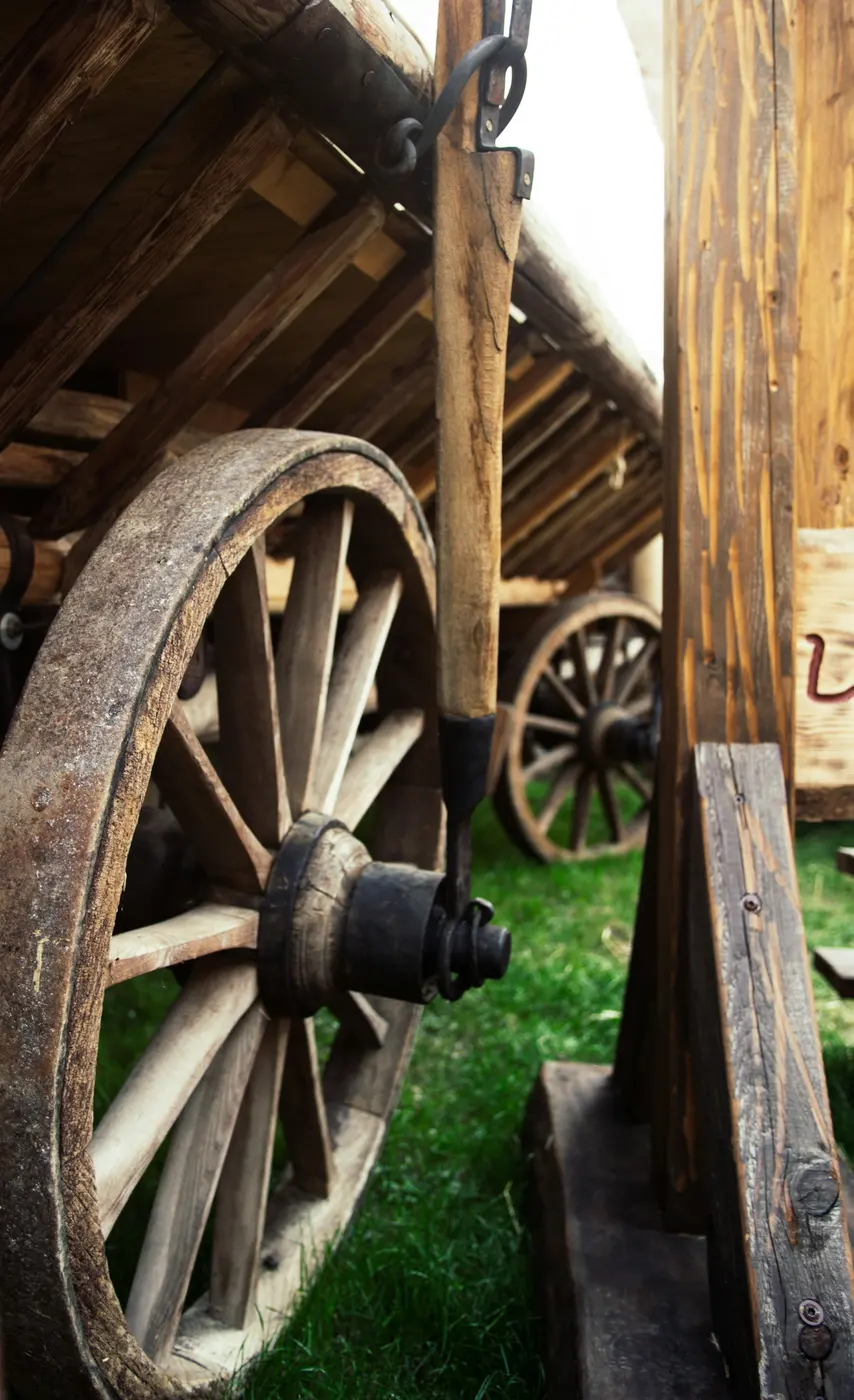 Ruota di carro in legno